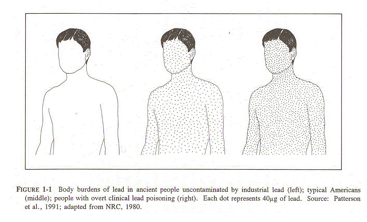 fig6.gif (147596 bytes)