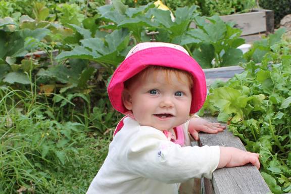 Backyard vegies by Photographer: Gabriel Anderson.
