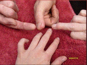 hands