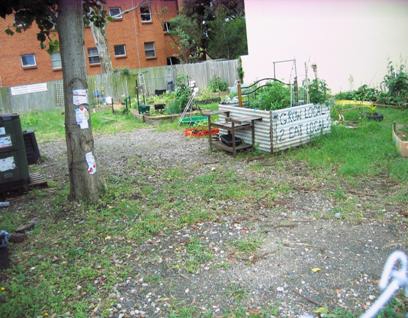 Community Garden - inner west Sydney