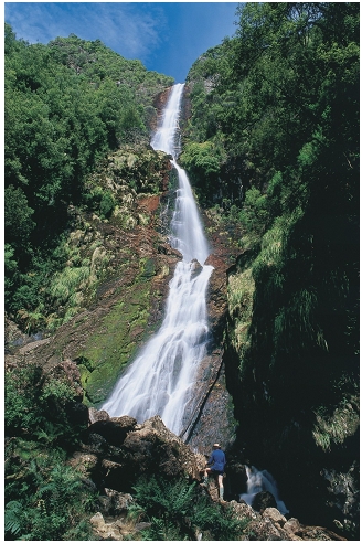 Montezuma Falls, Tasmania