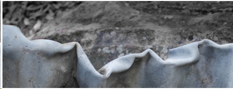 Replace lead on your roof with non-lead flashing / gutters / paint etc before installing a rainwater tank. by: Peter Webb