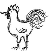 Chook illustration by Rose Lennon.