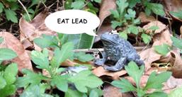 Pick Yer Poison!.