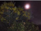 Every child deserves lead free skies