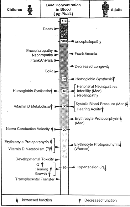 Health Effects of Lead