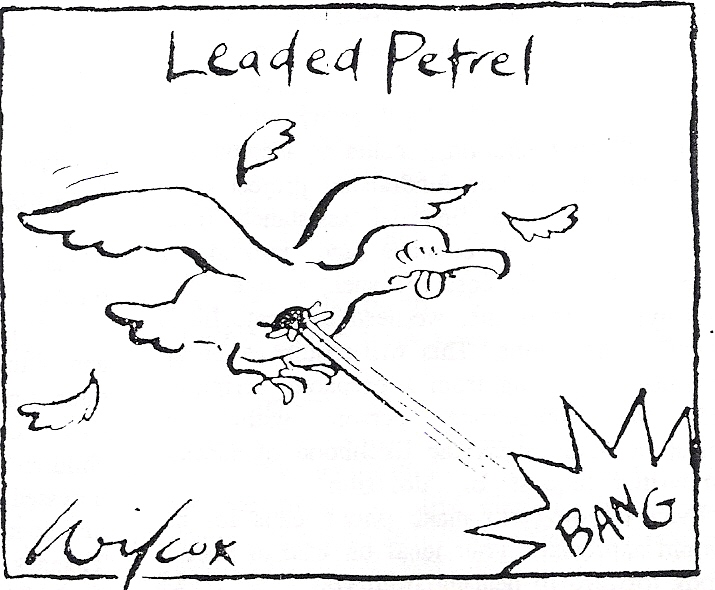 Wilcox - petrel