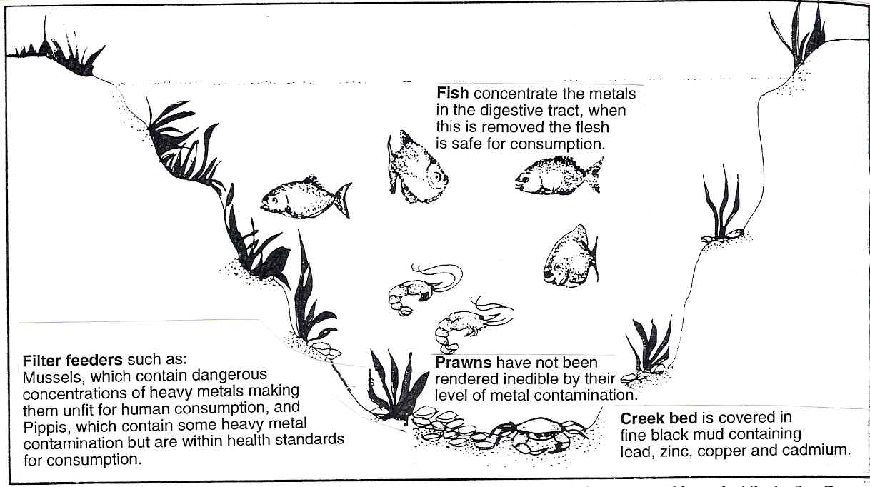 heavy metals in water