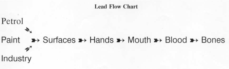 lfc.gif (126375 bytes)
