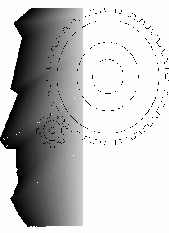 head.jpg (21535 bytes)