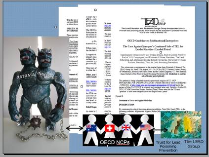 OECD Guidelines to Multinational Enterprise